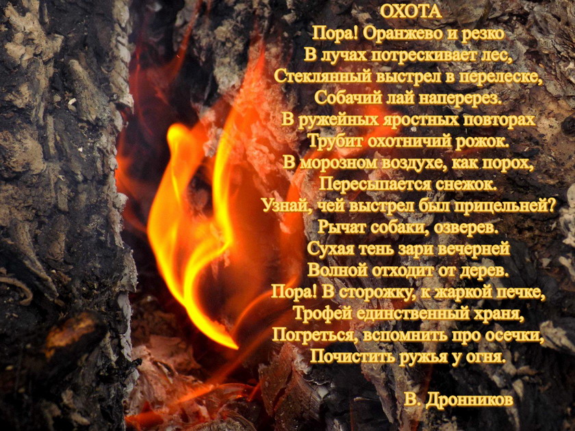 dronnikov