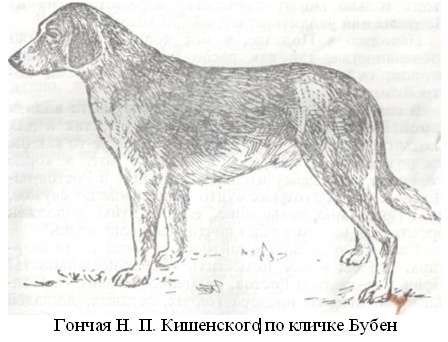 kramar2