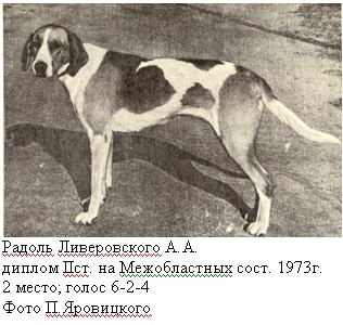 markov2 1