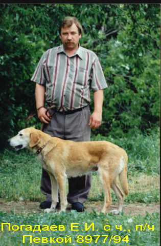 pogadpevka