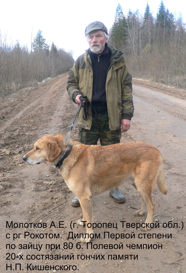 sipeikin foto21
