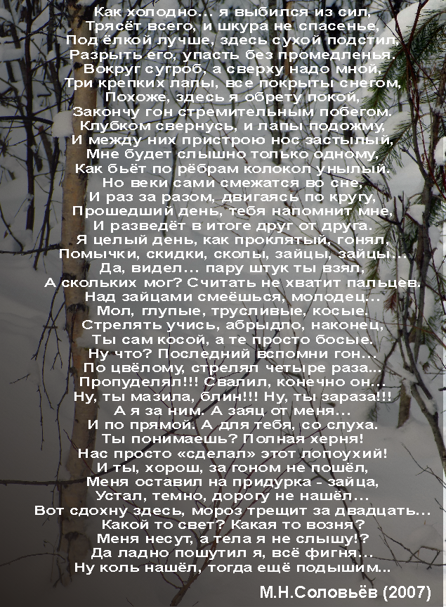 solov5