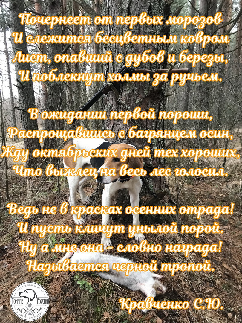 kravchenko1