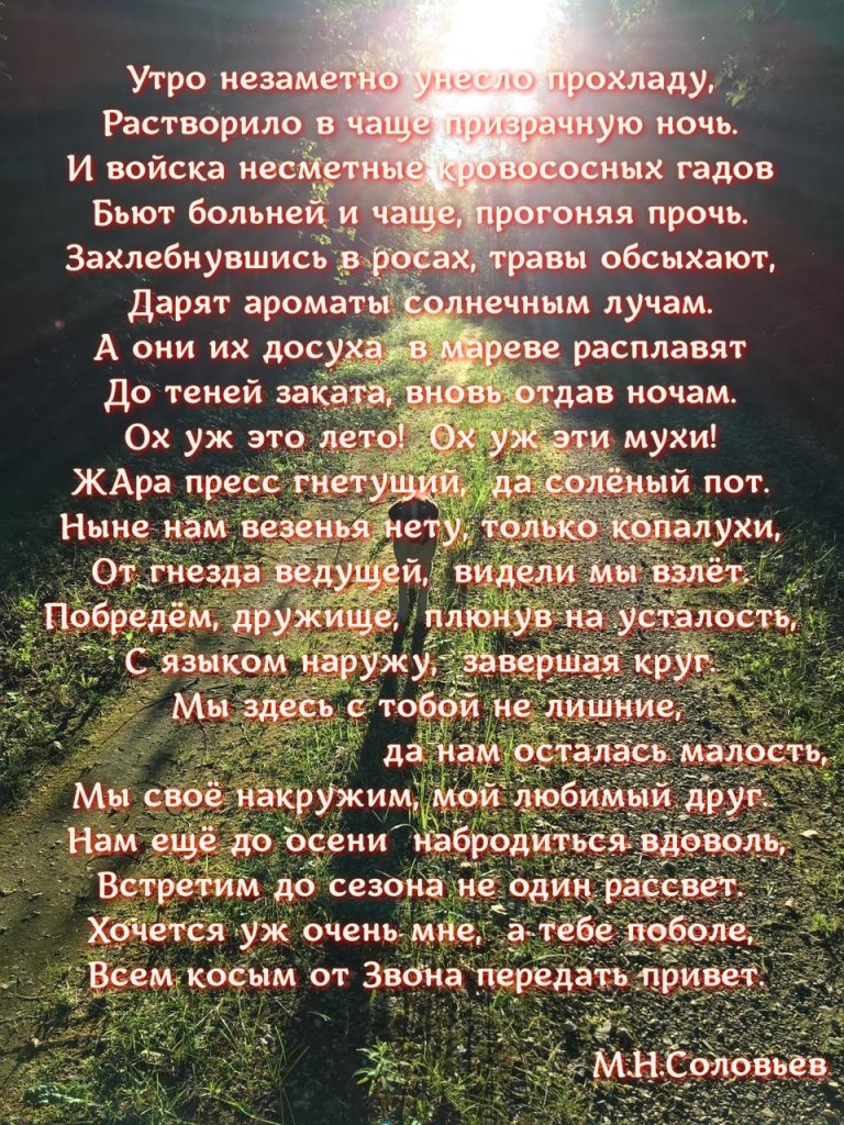 solovei1
